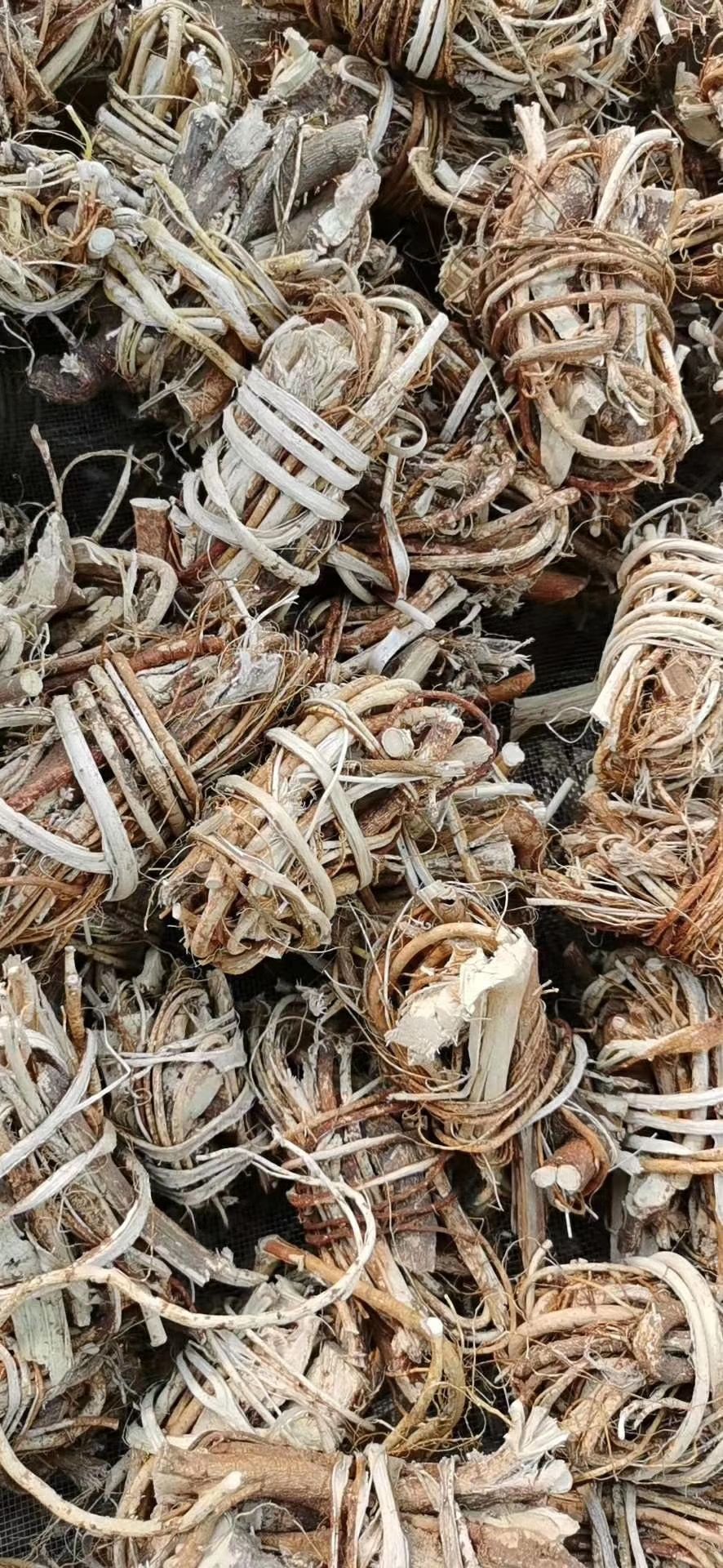 玉林长期供应｛五指毛桃｝可批量可零售量大从优【包邮】