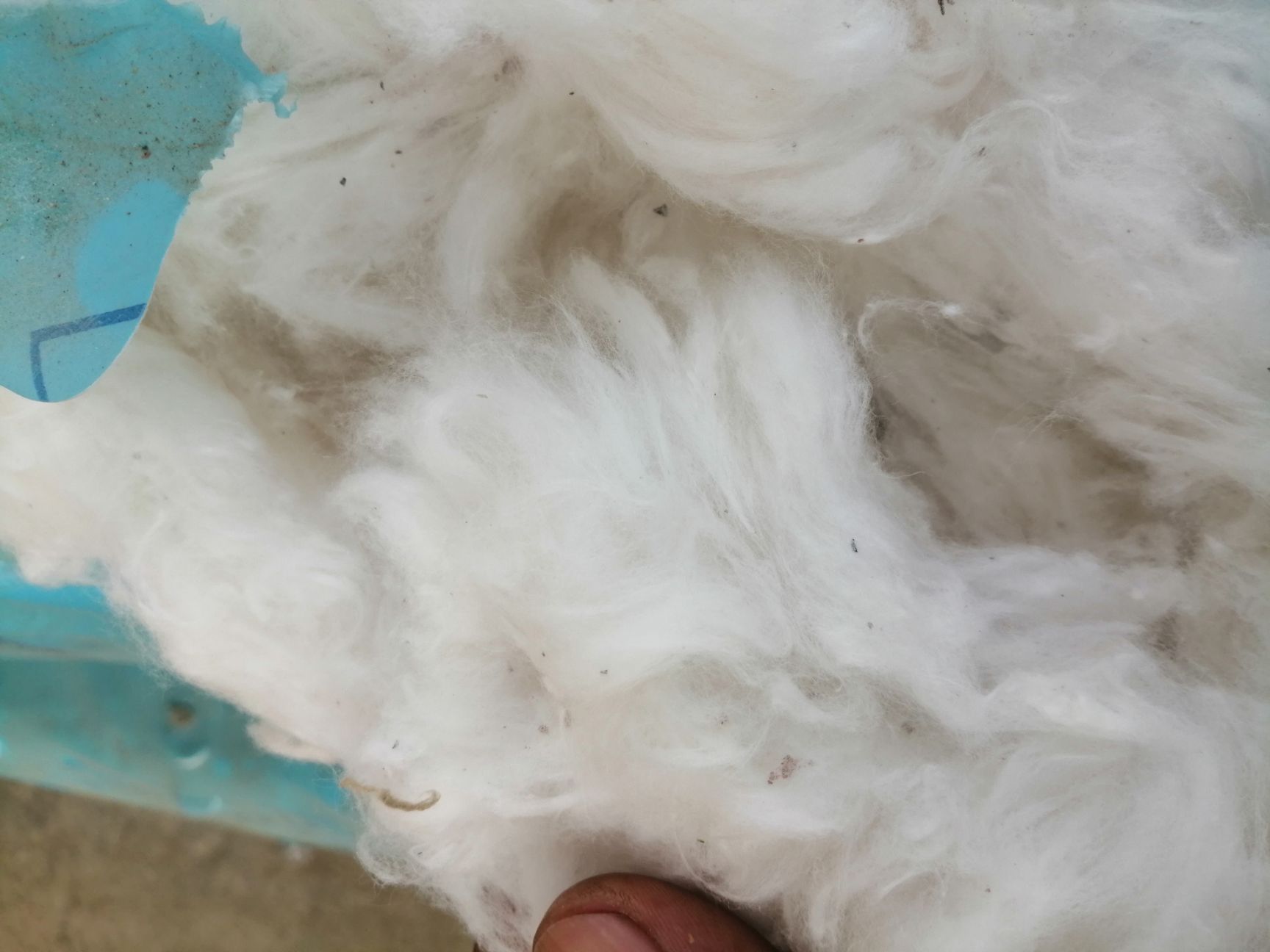 新疆棉花