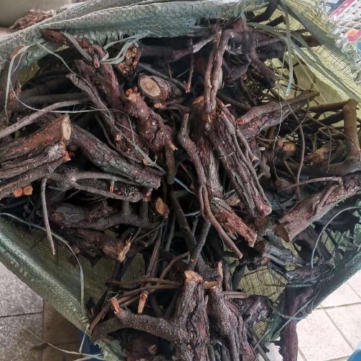 玉林金樱子寄生  ——头部带原木标记整把发货，一把5/6市斤