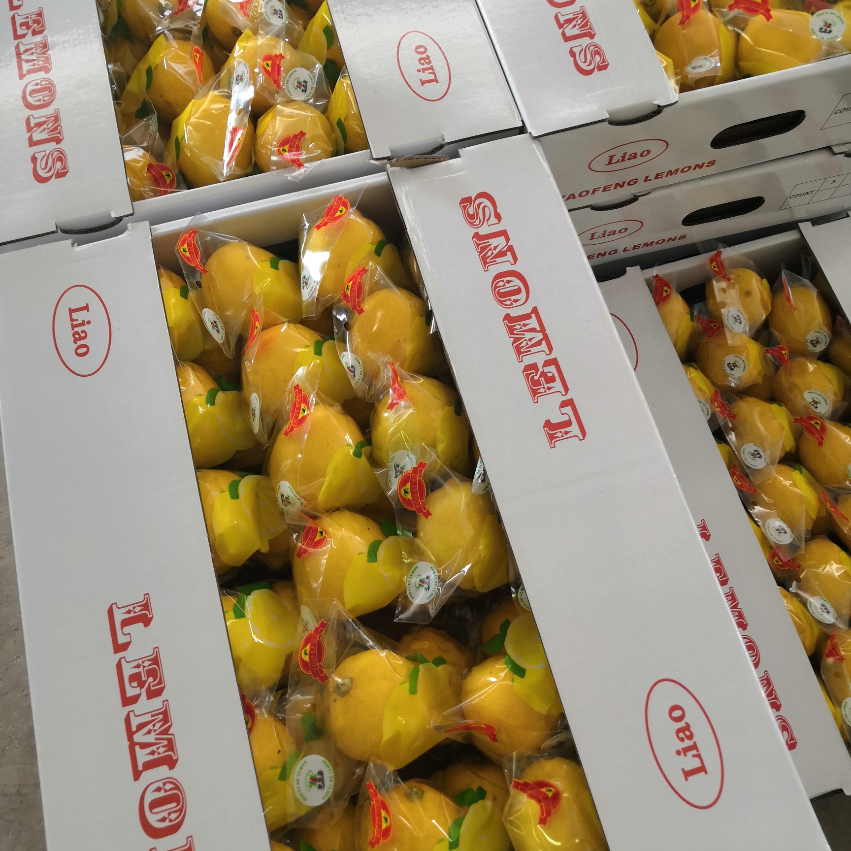 安岳县四川安岳尤力克黄柠檬一二级好货，包装可订制