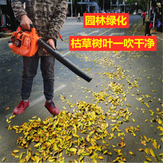 龍口市手提式吹風吹雪清潔機背負式大功率大棚吹雪機農(nóng)用家用吹風滅火機