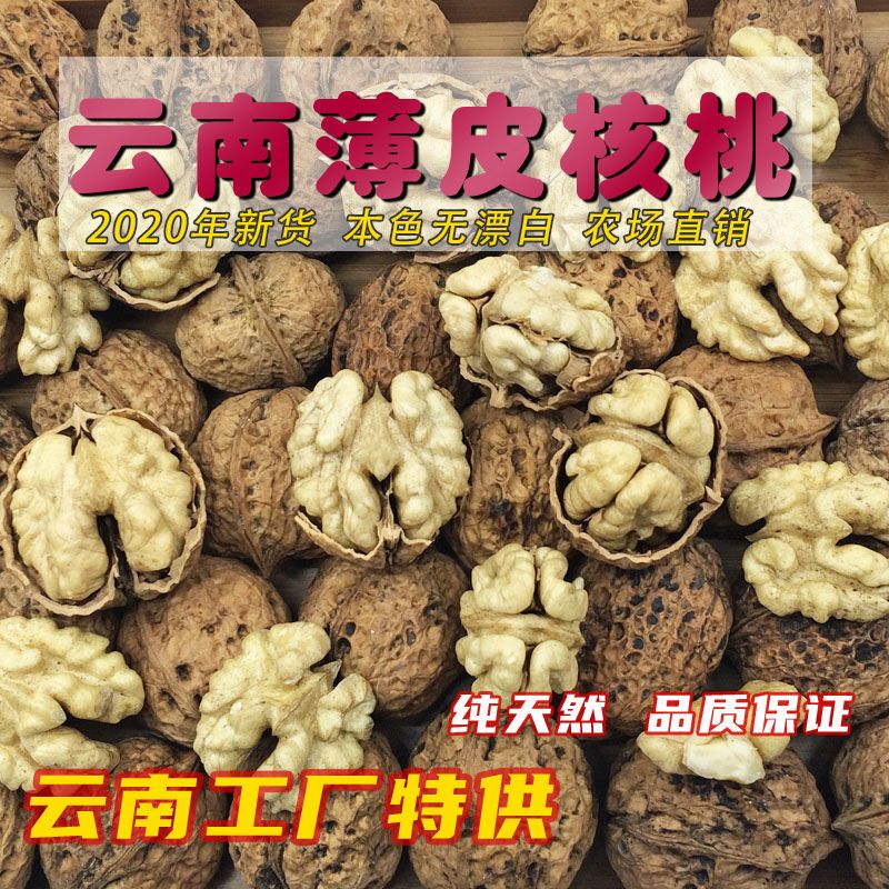 弥渡县云南核桃薄壳核桃，薄皮核桃核桃深山核桃尘果批发：