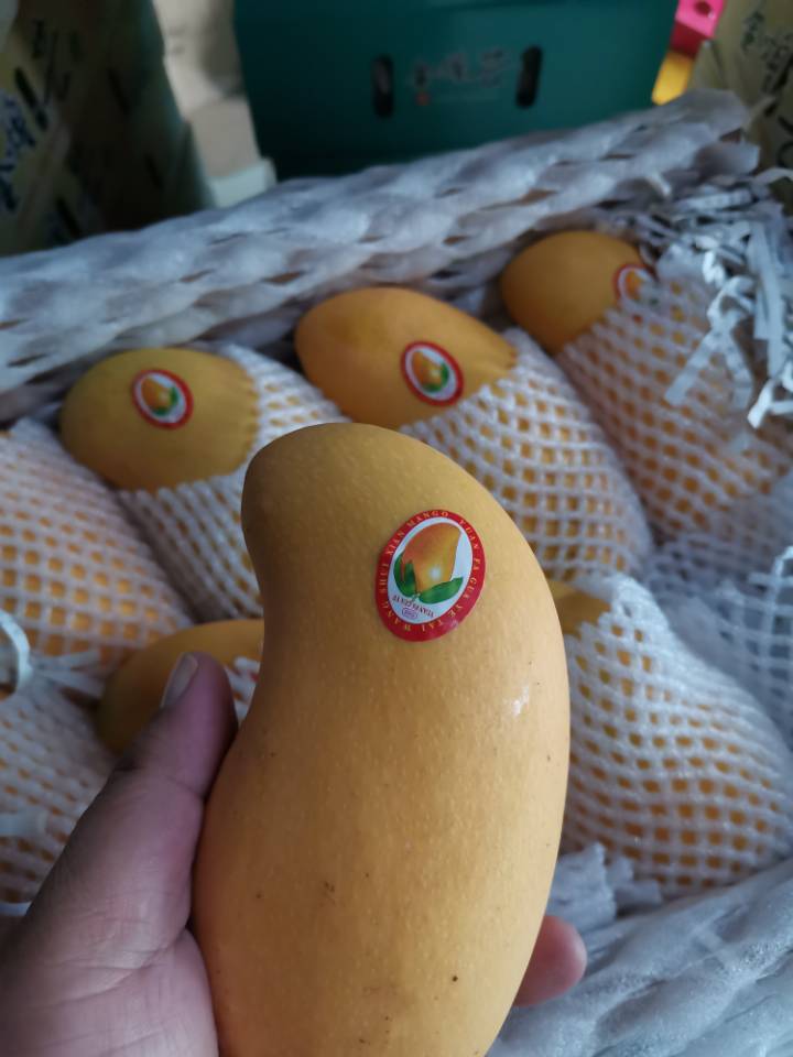 海南金煌芒水仙芒产地直发高品质高质量10斤装一件代发全国批发