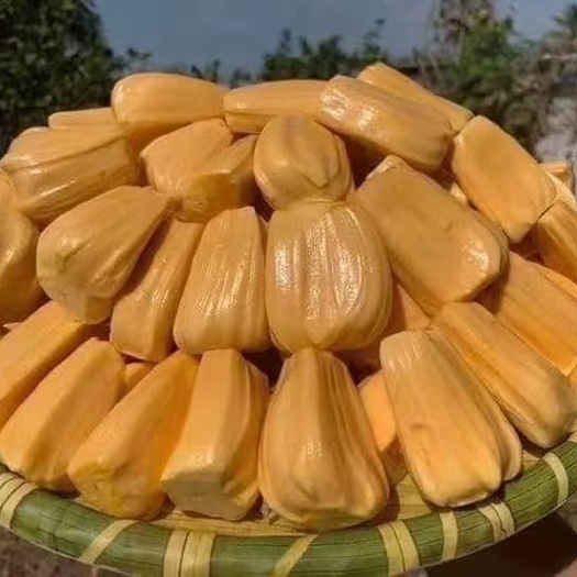 凭祥市红肉菠萝蜜 越南红肉干包菠萝蜜、工厂直销