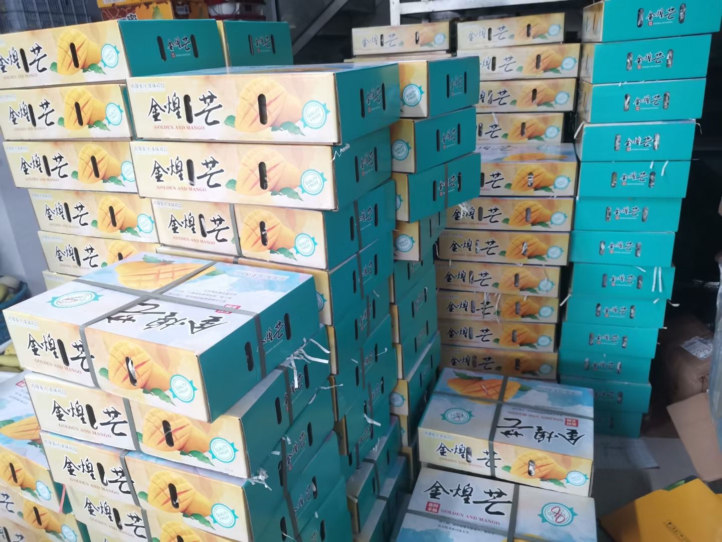 海南金煌芒水仙芒产地直发高品质高质量10斤装一件代发全国批发