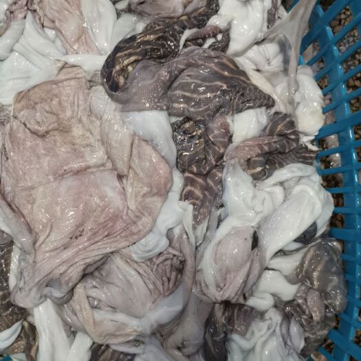 北海墨鱼皮，墨鱼嘴，墨鱼骨，墨鱼软骨，各种墨鱼边角料