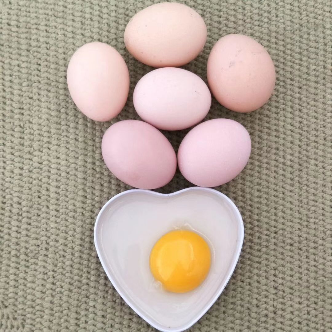 【快运隔日达】现捡现发 京山土鸡蛋散养蛋山林放养蛋土鸡种蛋