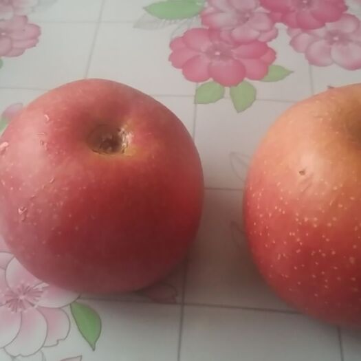 长沙红宝石甜苹果 纸袋 条红+片红 特级果