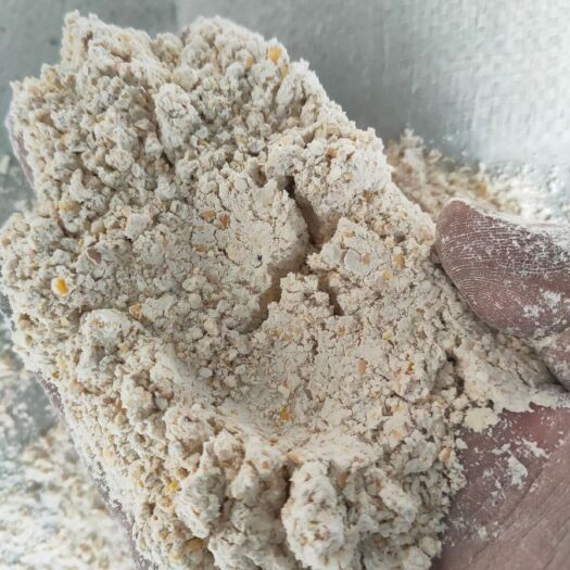 碎玉米 东北玉米烘干下来的
