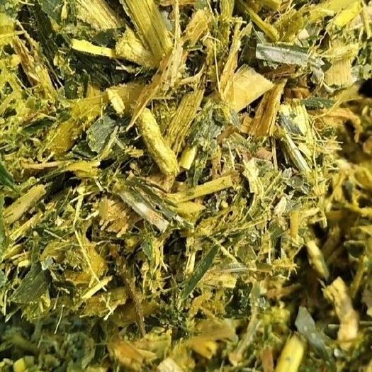 宁津县优质青储草饲料 牛羊草料  多汁适口，气味酸香 ，营养丰富