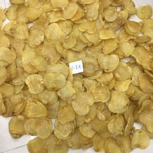 广州鱼胶 【7-8头白鳘赤嘴】精选优势货源😘😘😘