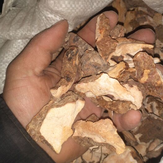 连南县土茯苓切片
