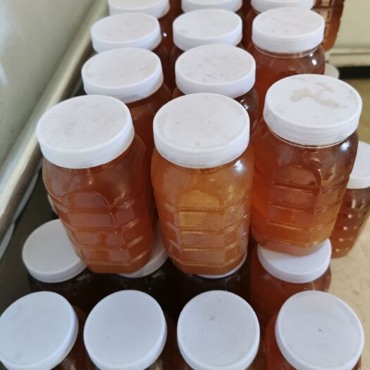 钟祥市蜂蜜纯正天然北京农家自产荆条蜜 土蜂蜜
