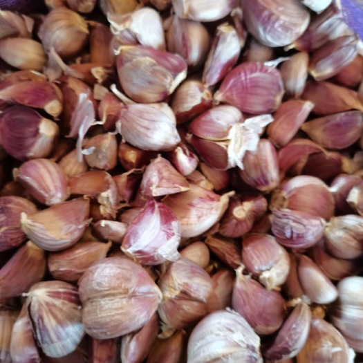 桂林红皮蒜 特大特红 香蒜米