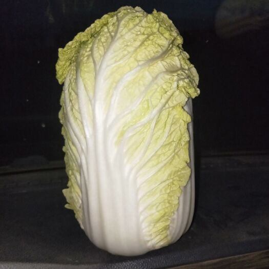 北京华耐B1102娃娃菜 