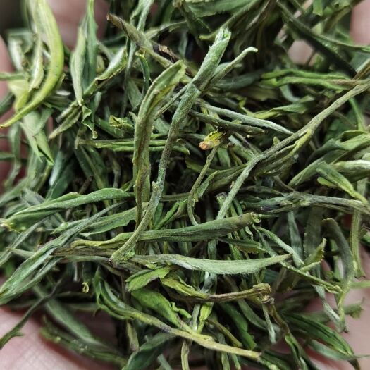 岳西县 高山有机绿茶 岳西翠兰厂价批发
