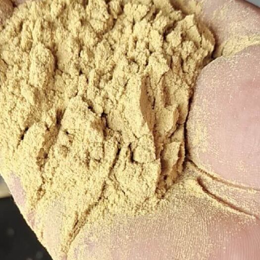 巨鹿县禽畜饲料 大豆胚芽粉 蛋白