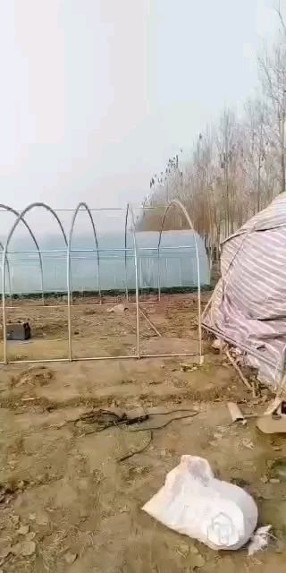 天津蔬菜大棚 大棚管生产厂家椭圆管，包塑管，热镀锌管