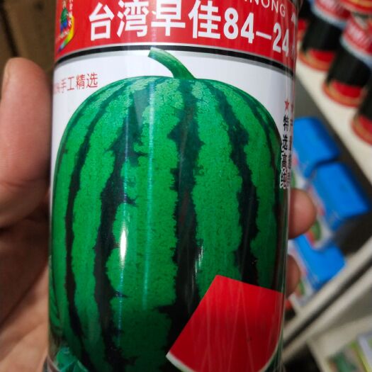 早佳8424西瓜种子  西瓜种子 新改良杂交种子