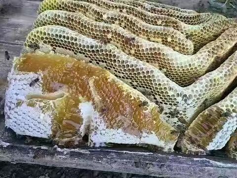 周至县 真正山里人土蜂蜜，支持任何手段检测，欢迎大家买到真正的好东西