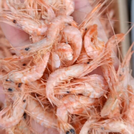 滨州红虾