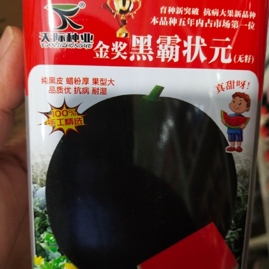 西瓜种子  纯黑皮 蜡粉厚 果型大 详细介绍请看包装说明