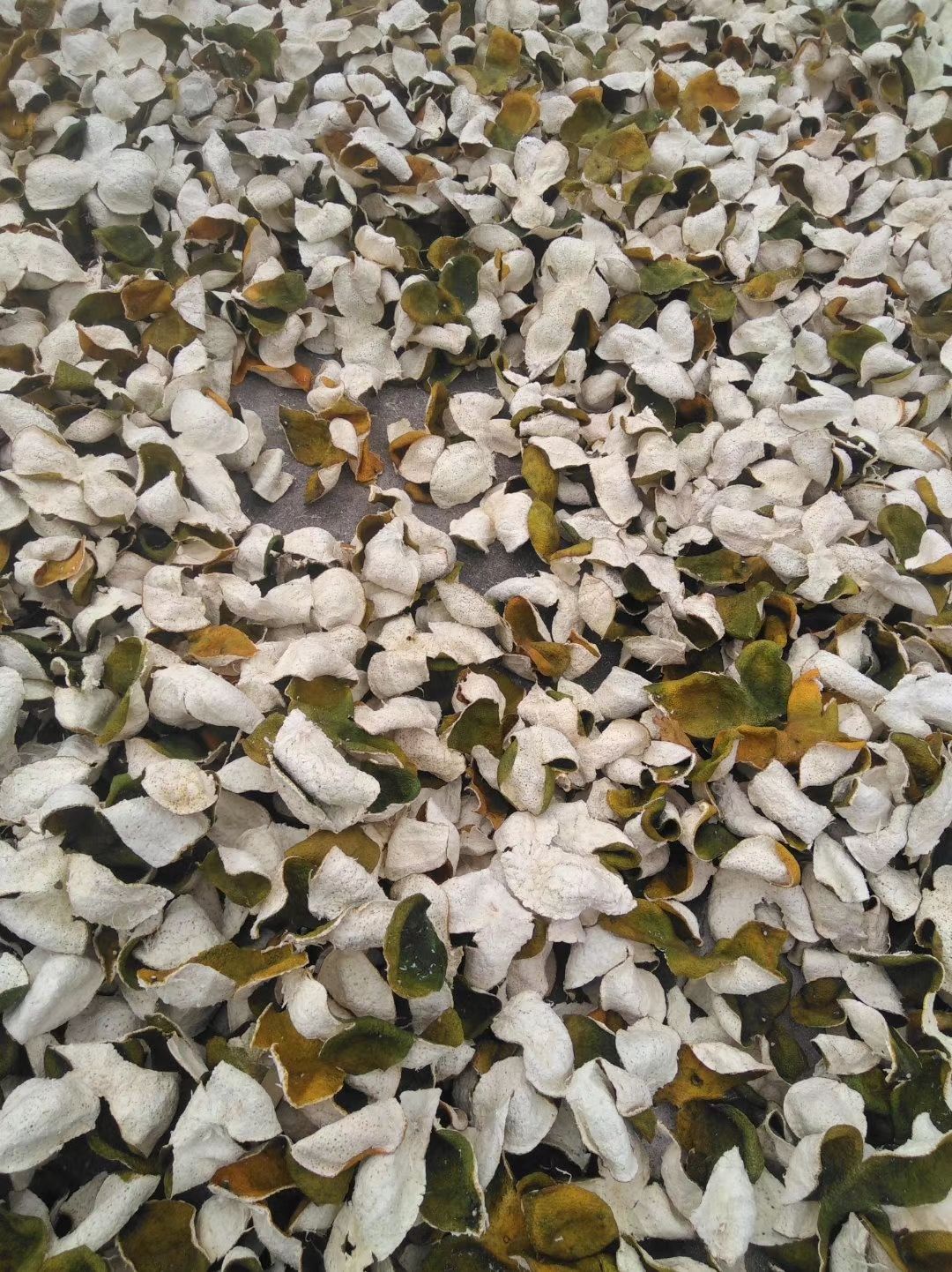 新会陈皮 只卖新会本地陈皮