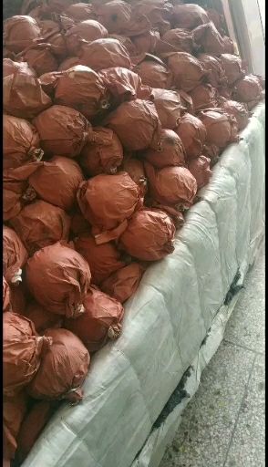 蒲城酥梨大量上市中，