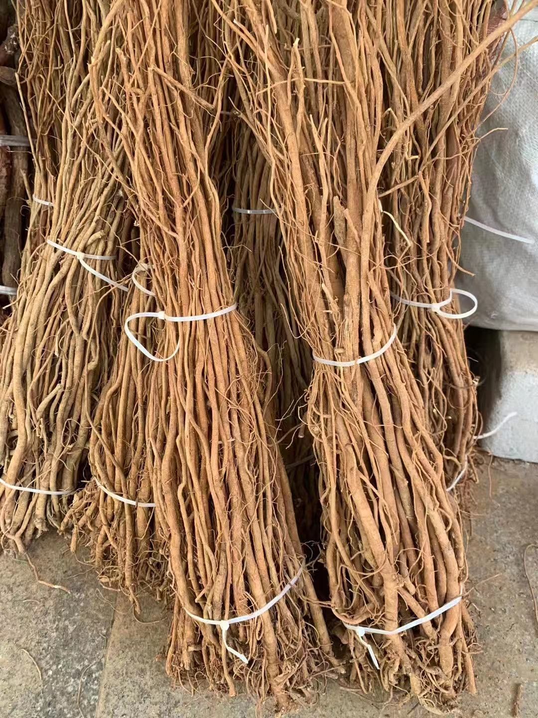 玉林长期供应｛千斤拔条｝可批量可零售量大从优【包邮】