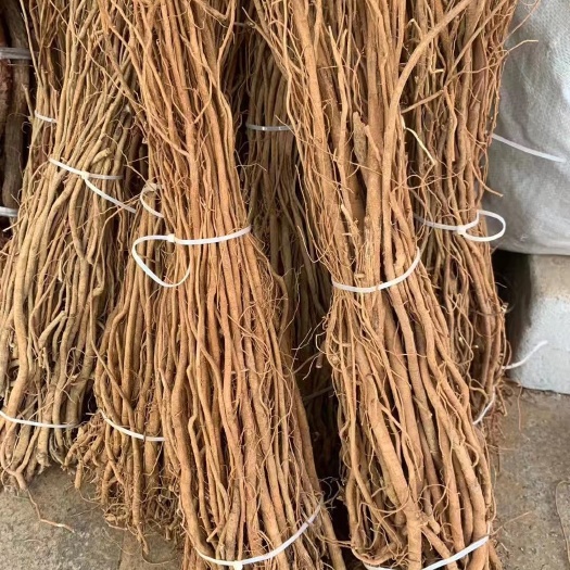 玉林长期供应｛千斤拔条｝可批量可零售量大从优【包邮】