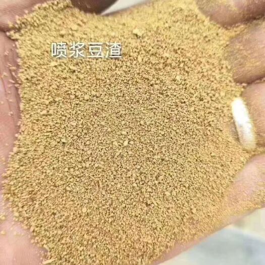巨鹿县蛋白质补充饲料  喷浆豆渣 蛋白45