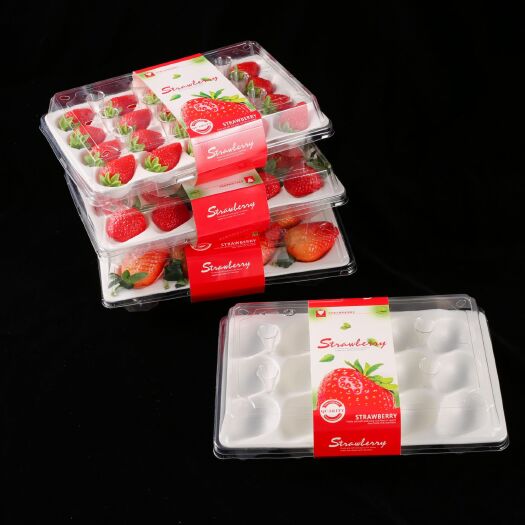 苏州 11粒、15粒、20粒草莓盒厂家直销，吸塑塑料包装盒PET