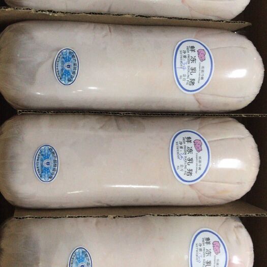 整头猪  冻乳猪，冷乳猪，鲜冻乳猪，烤乳猪，乳猪