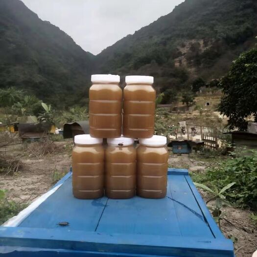 罗源县中蜂   枇杷蜜