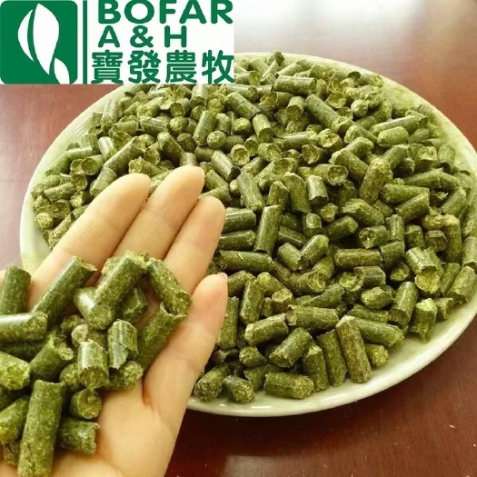 固原牛羊用苜蓿颗粒 
