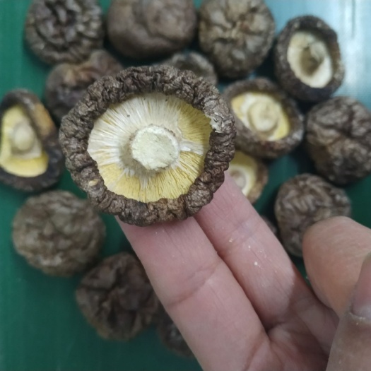 商南县香菇丁  精选冬菇厚菇