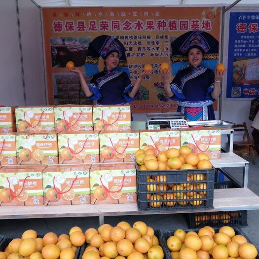 德保县德保脐橙 广西德保同念脐橙