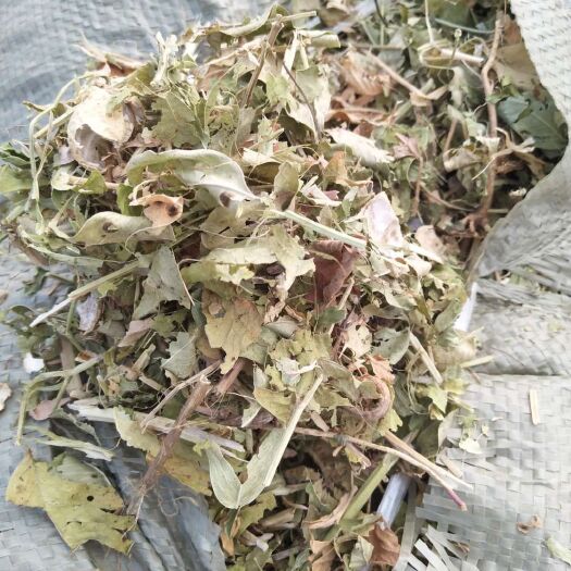 正阳县干芦苇  常年供应花生秧牛羊驴骆驼兔子鸡鸭鹅猪等干草料和干草