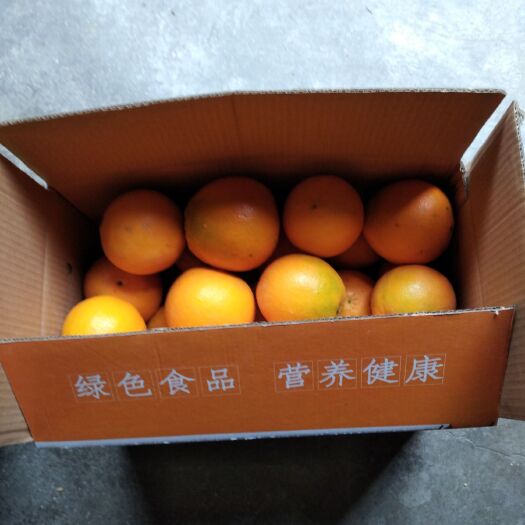 新宁县脐橙 市场果 