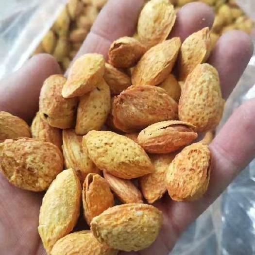 巩留县 巴旦木