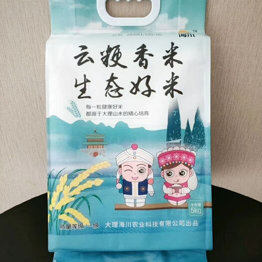 大理市象牙香米 一等品 一季稻 粳米