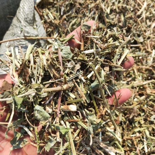 正阳县干草 牛羊草料，花生秧草料，河南花生秧！牛羊草料批发！花生秧牛草