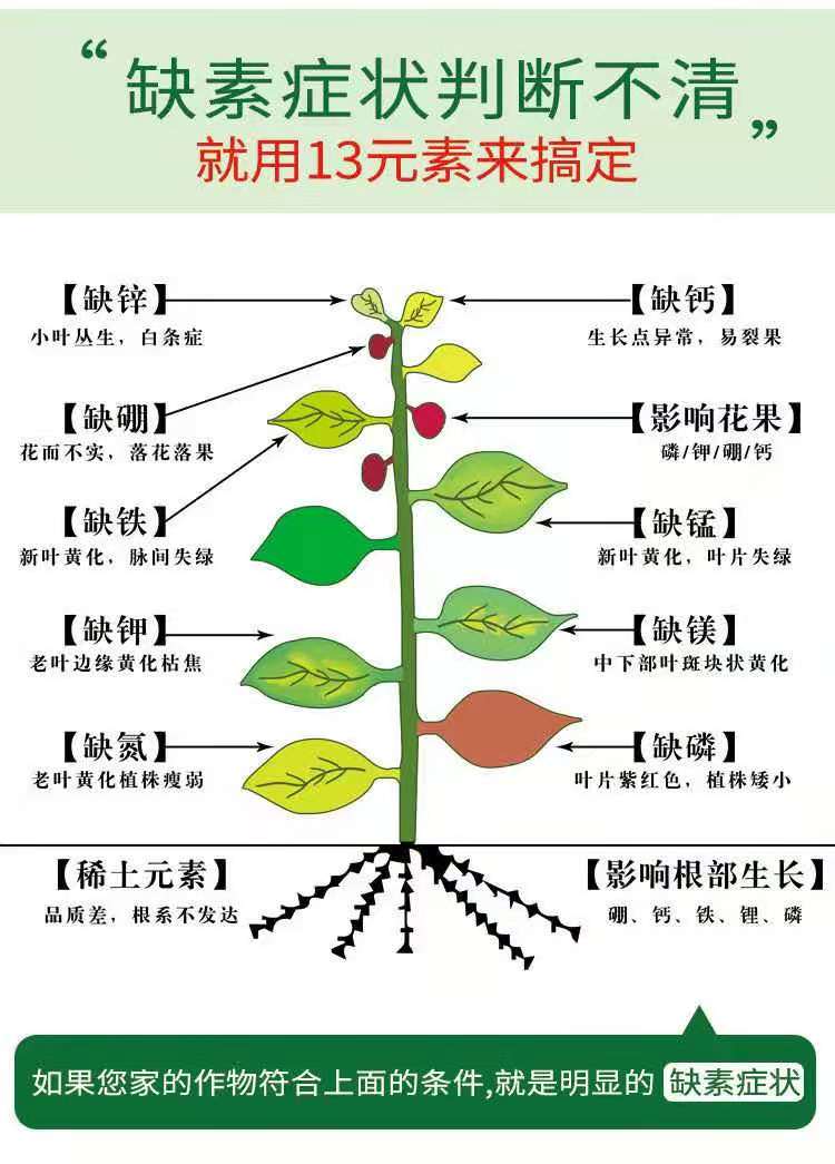 微量元素肥料  十三元素  氮磷钾钙铁锰锌棚钼硫碳一次性补齐