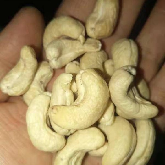 巩留县 腰果