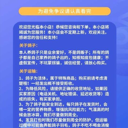 灵璧县圆环鸽  元环
