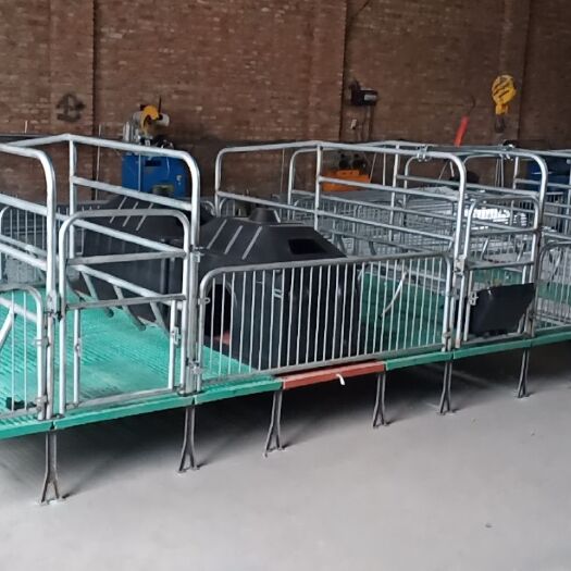 泊头市母猪产床 