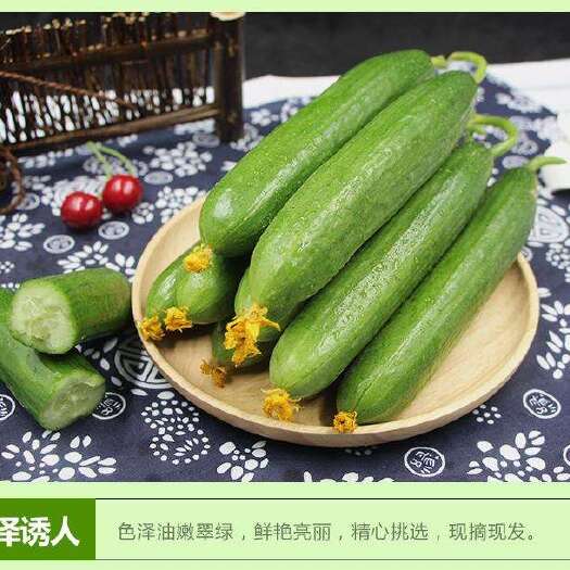 潍坊水果黄瓜