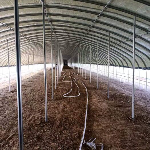 养殖大棚  养殖棚 蔬菜棚 宽度3米---30米  肩高 顶