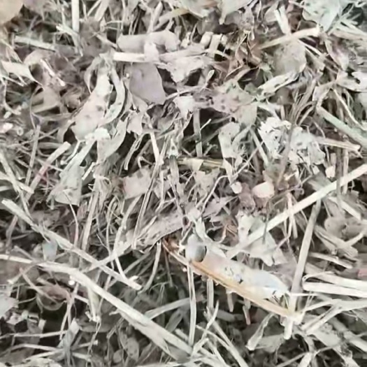 泗县花生秧  一级草料   无土无霉去膜