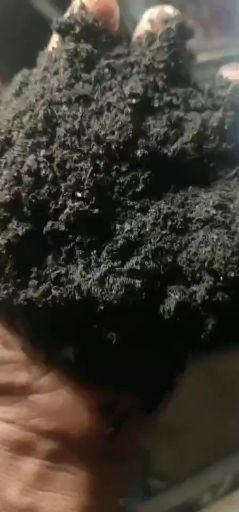 邱县树皮  纯发酵